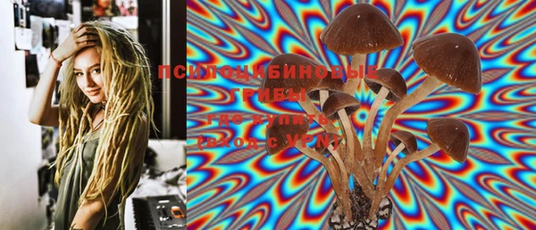 мяу мяу мука Каменка