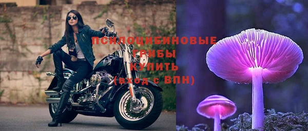 дмт Каменск-Шахтинский
