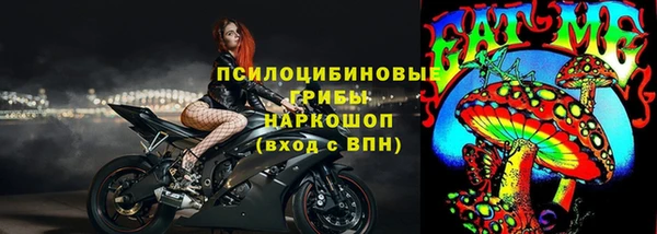 jwh Каменногорск